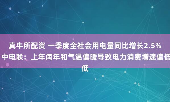 真牛所配资 一季度全社会用电量同比增长2.5% 中电联：上年闰年和气温偏暖导致电力消费增速偏低