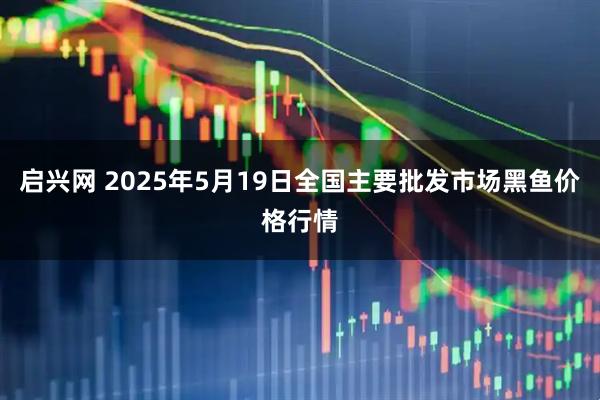 启兴网 2025年5月19日全国主要批发市场黑鱼价格行情