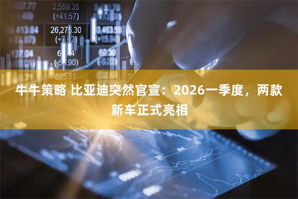 牛牛策略 比亚迪突然官宣：2026一季度，两款新车正式亮相