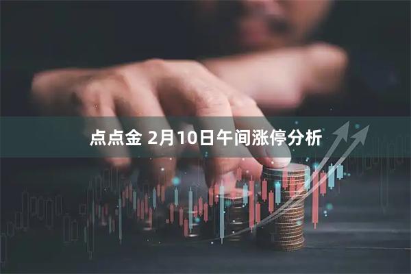 点点金 2月10日午间涨停分析